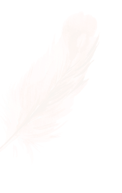 Feather Orange Background
